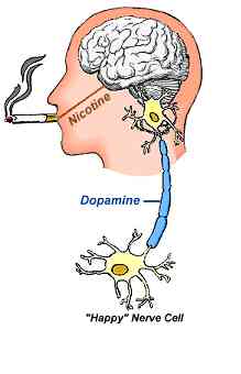 nicotine-dopamine
